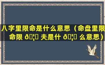 八字里限命是什么意思（命盘里限命限 🦍 夫是什 🦟 么意思）